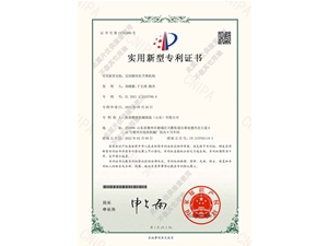 無(wú)間隙絲桿升降機(jī)構(gòu)專利證書